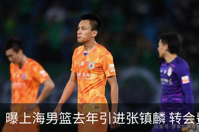 曝上海男篮去年引进张镇麟 转会费投入超5000万